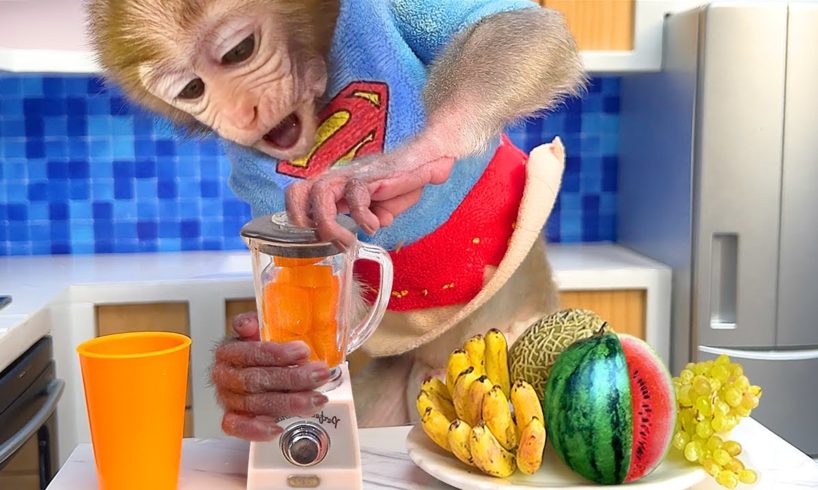 Monkey Baby Bon Bon drinks fruit smoothies and plays with puppy in a garden full of rainbow balls