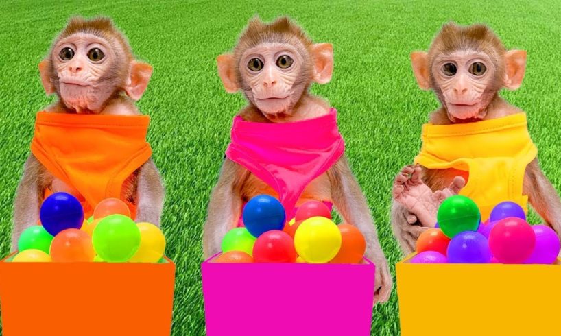 Monkey BinBin play Balloons on Playground