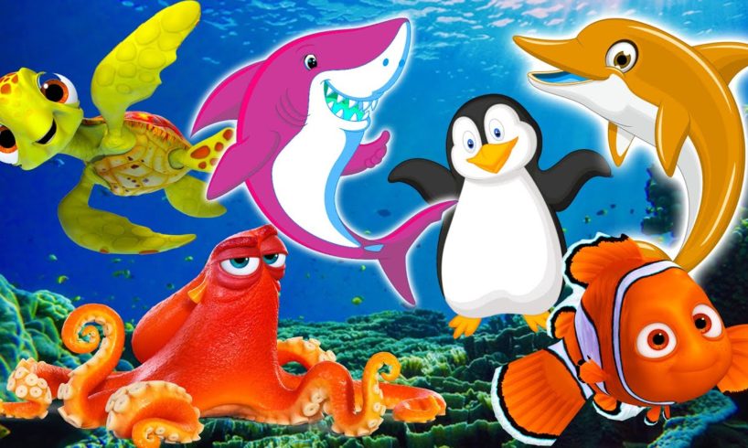 Sea animals - familiar animal names and sounds - dolphins, sea turtles, sharks, penguins, sea fish