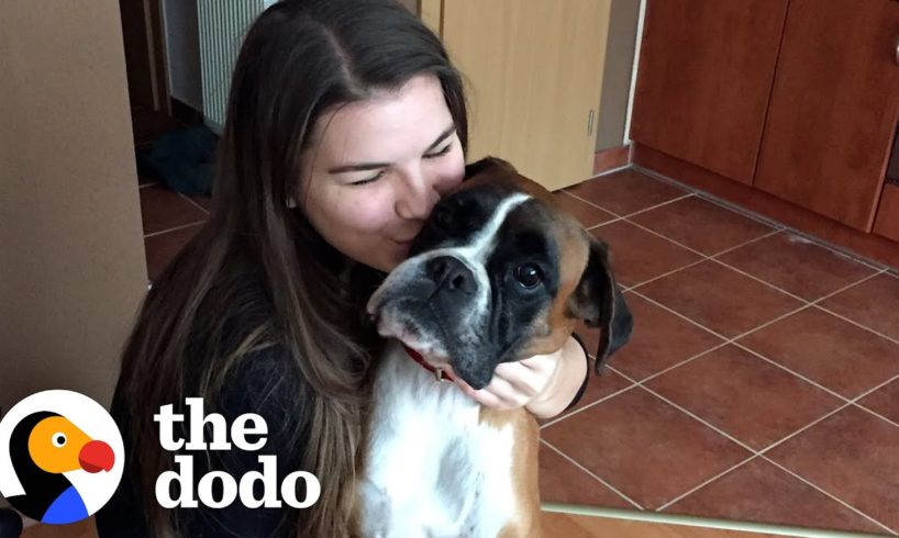 Skinny Shelter Dog Has The Happiest Transformation | The Dodo Foster Diaries