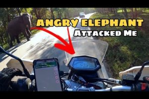 யானை கூட்டம் | Angry elephant attacks biker | Near death experience