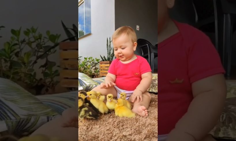 A cute  baby playing with Ducklings 🦆🐥 | Animals lover #Short #Duck