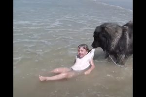 Amazing Dog Rescues a Girl in the Ocean!! 🐶💕🌊