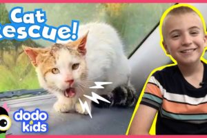 Angry Wild Cat Becomes His Rescuer’s Best Friend | Animal Videos For Kids | Dodo Kids