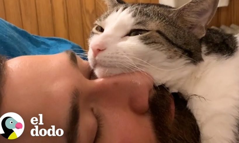 Gato le roba el marido a esta mujer | El Dodo