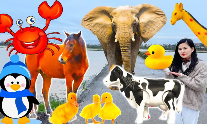 Learn the fun of familiar animals: cows, elephants, horses, ducks, chickens, giraffes