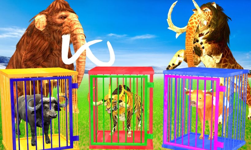 Monster Lion Elephant Fight Tiger Bull, Giant Buffalo, Cow Cartoon Rescue Saved By Woolly Mammoth