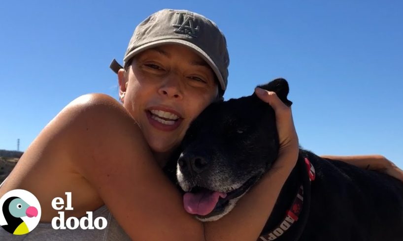 Perro que pasó 4 años en un refugio ahora corre maratones con su mamá | Almas Gemelas | El Dodo