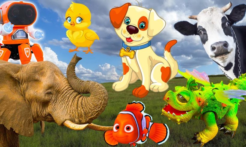 Physical features of farm animals: Cow, elephant, hippo, chicken, dog, clownfish - Part 3