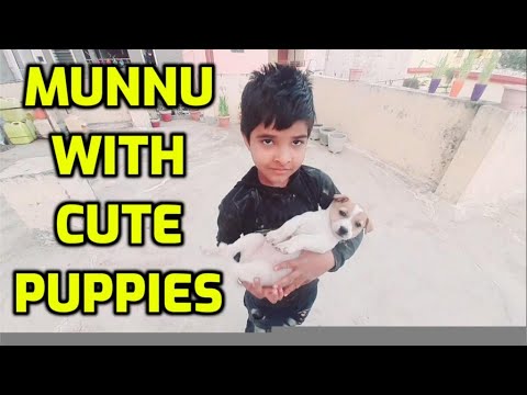 Puppy Playing and Enjoying with Munnu || Cute Puppies || Puppies || Cutest Dogs