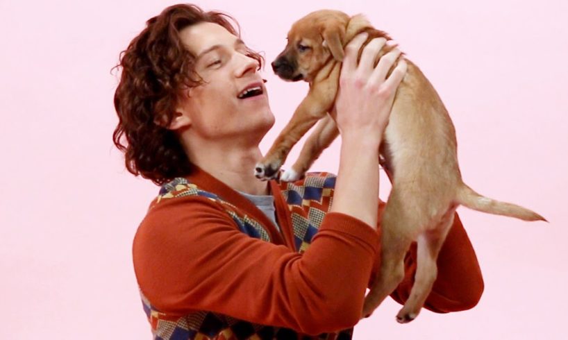 Tom Holland: The Puppy Interview (Part Two)