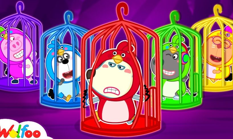 Wolfoo Rescues Five Little Birds From Colorful Cage - Kids Stories About Animals | Wolfoo Family