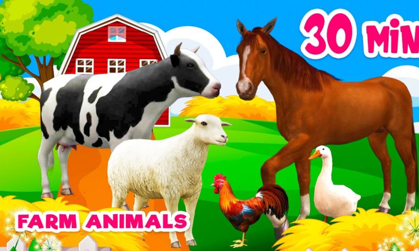 30 min Farm animal sounds Farm animals for kids Learn Farm animals Cow Horse