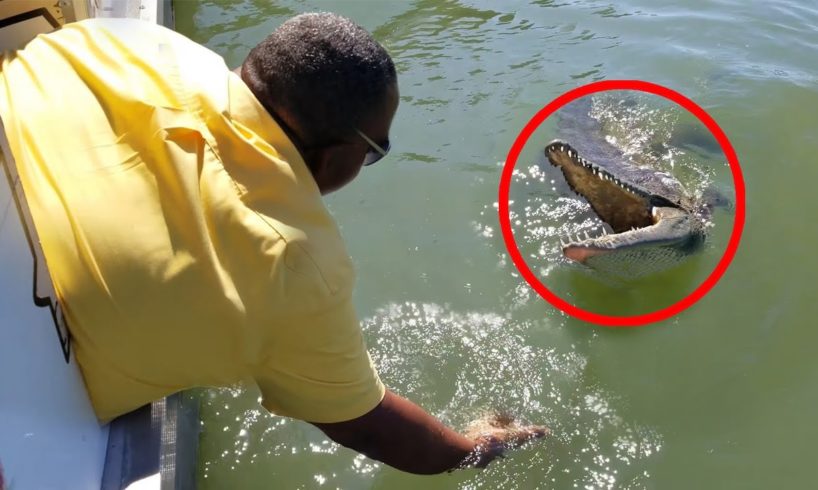 6 Crocodile Encounters That Will Terrify You