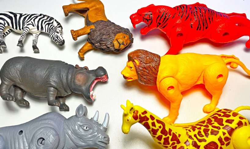 8 Transforming Animals - Lion, Tiger, Elephant, Jaguar, Elephant, Rhino, Bear, Zebra, Giraffe