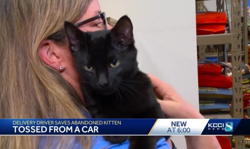 Delivery driver rescues cat dumped in Des Moines