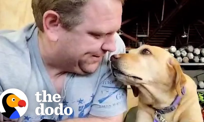 Dog Rescued From Puppy Mill Loves Going To Crossfit With Her Dad | The Dodo