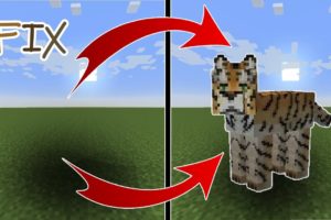 How to fix invisible animals problem (Mo'creatures Minecraft mod tutorial)