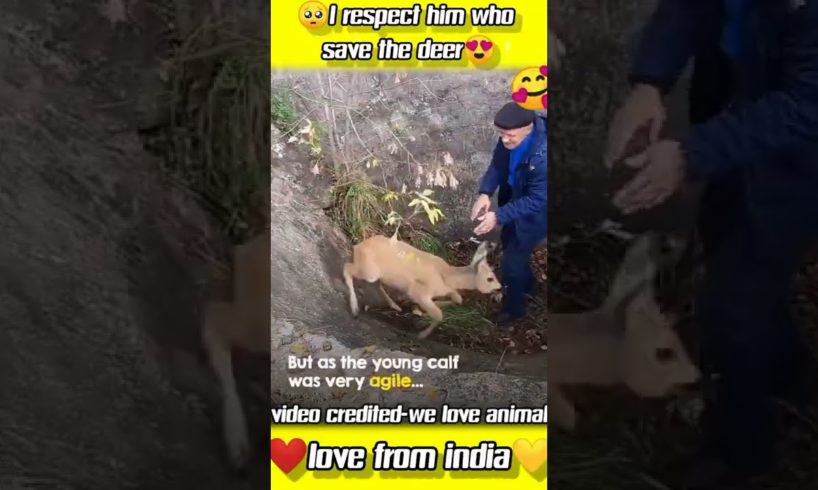 I respect who save the deer#shorts#save animals#rescue