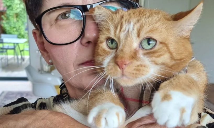 Nobody would adopt this senior cat. A woman gave him everything.