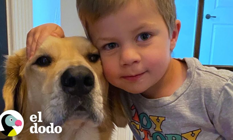 Perro es tan leal que vigila a los niños pequeños todas las noches | Almas Gemelas | El Dodo