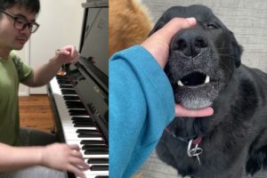 Piano Duet with Dog singing a Beautiful Love Song