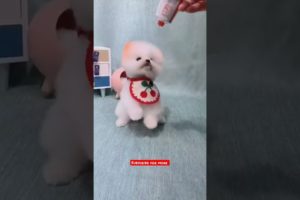 cutest puppies funny 🤣 video 😂 #shorts #dog #animal