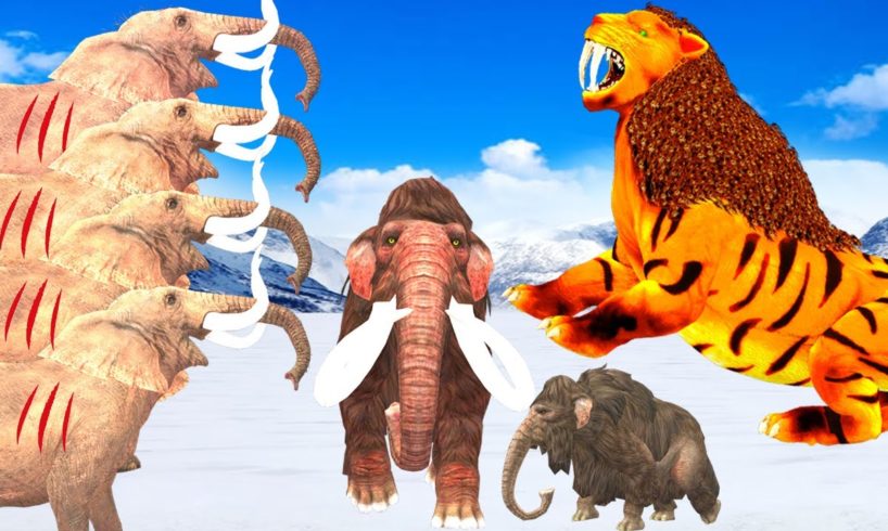 5 Elephants vs Tiger Fight Tiger Attack Baby Mammoth Elephant Saved By Zombie Mammoth Animal Fights