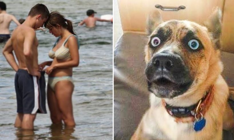 Funny Pets & Animals that will make your day not so boring