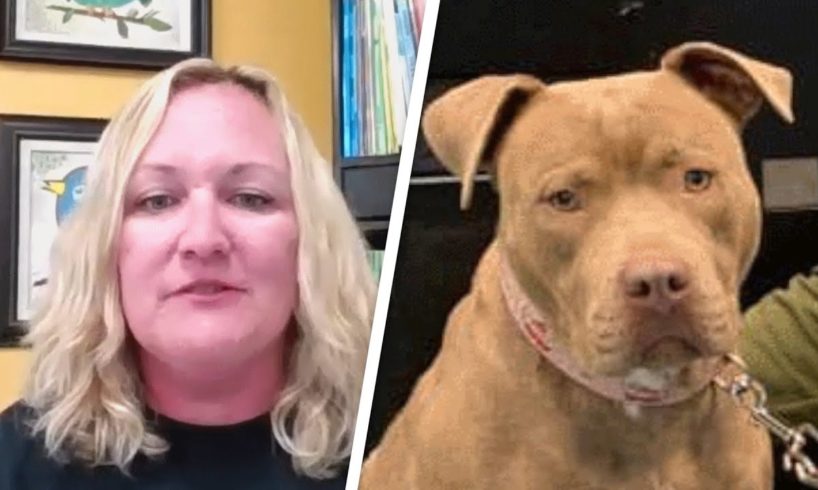 This teacher gave 2nd graders a writing assignment. Then 22 shelter dogs got adopted.