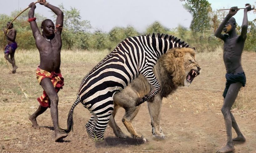 Top 10 Strongest Prey In The Wild - When Prey Fights Back - Prey VS Predator - Blondi Foks