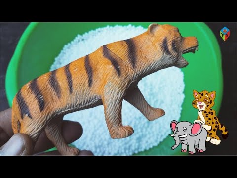 am 016 - BEST ANIMAL RESCUES OF THE YEAR Animal Toys - Polar Bears, Giraffes, Tigers Cheetahs Whales