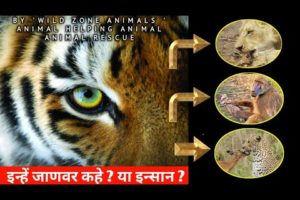 इन्हें इन्सान कहे ? या जाणवर ?animals rescue animals | 🤓 animals rescue