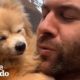 16-Year-Old Dog Steals Her Foster Dad's Heart | Ruff Life With Lee Asher