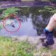 5 Dangerous Crocodile Encounters That Will Give You Chills