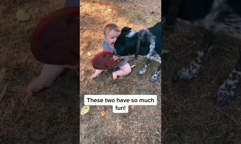 Cute baby playing with baby 🥺🥰🥰#animals #shorts #cats #catsofyoutube