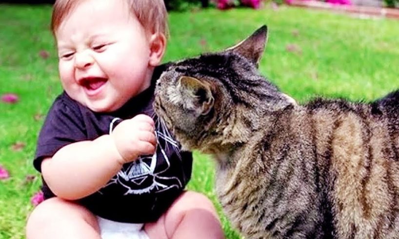 Cutest Babies Play With Dogs And Cats Compilation || Cool Peachy