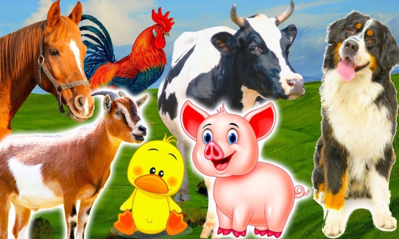 Discover familiar animals: pig, duck, cow, dog, hippo, parrot - Part 6