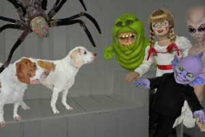 Dogs vs Haunted House that Comes Alive! Funny Dogs Maymo & Potpie See Ghosts Come Alive on Halloween