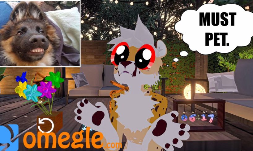 Found The Cutest Puppies On Omegle! (VRchat)