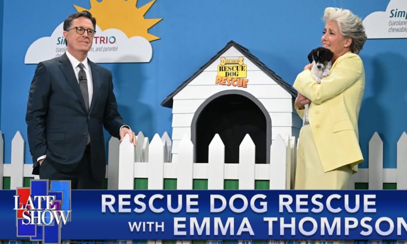 Rescue Dog Rescue with Emma Thompson