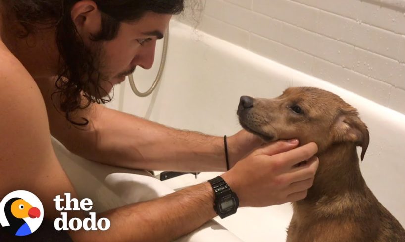 This Guy Found His Purpose After Rescuing A Dog | The Dodo Heroes