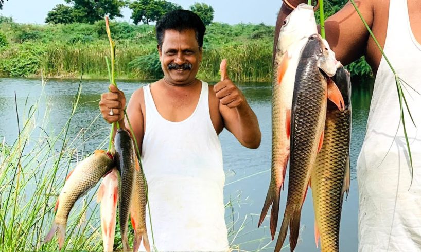 కుత కుతలాడే చేపల కూర | కుండలో చేపల కూర |Fish Curry | FISHING AND COOKING | అదిరిపోయే రుచి