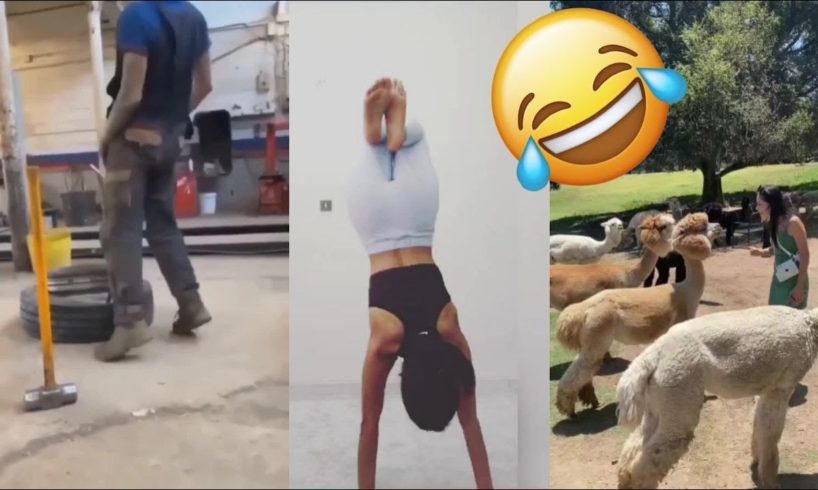 Funny Videos 2022 | Instant Regret | Fails Of The Week | Fail Compilation 2022 | Fails | RandomFails