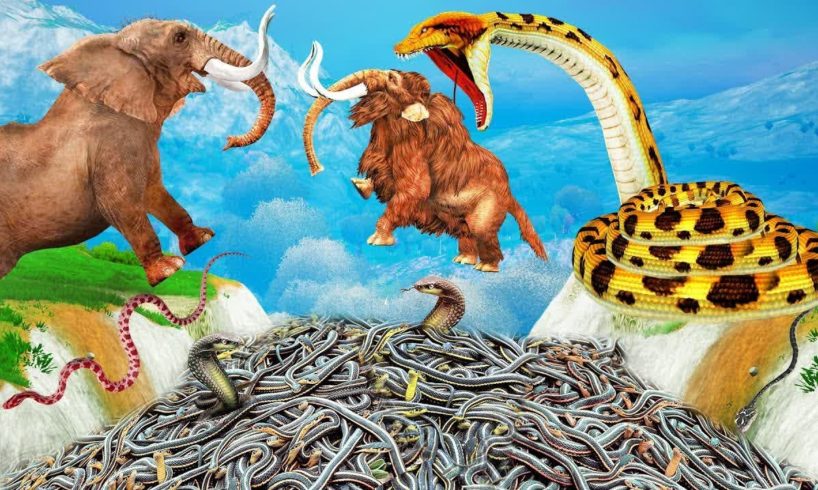 Giant Snake vs Elephant Mammoth Fight Baby Elephant Rescue Woolly Mammoth Animal Fights