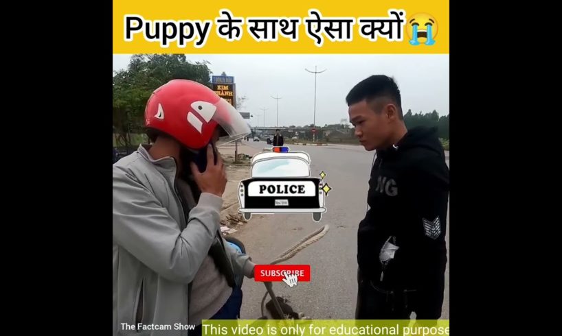 Puppy के साथ इतनी बेरहमी क्यों? #shorts #ytshorts #animals #puppy #dog #doglover #factcam