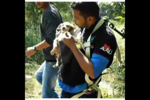 puppy कुआं में गिर गया #shorts | Dog Animal Rescue | #emotional | #Sad #status | #viral