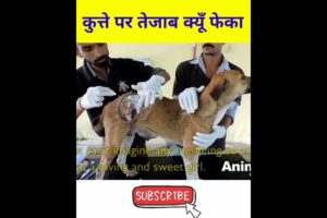 🥱इस कुत्ते 🐶 को लोगो ने मौत से भी बुरी सजा दी है | dog rescue | Save dog life #shorts