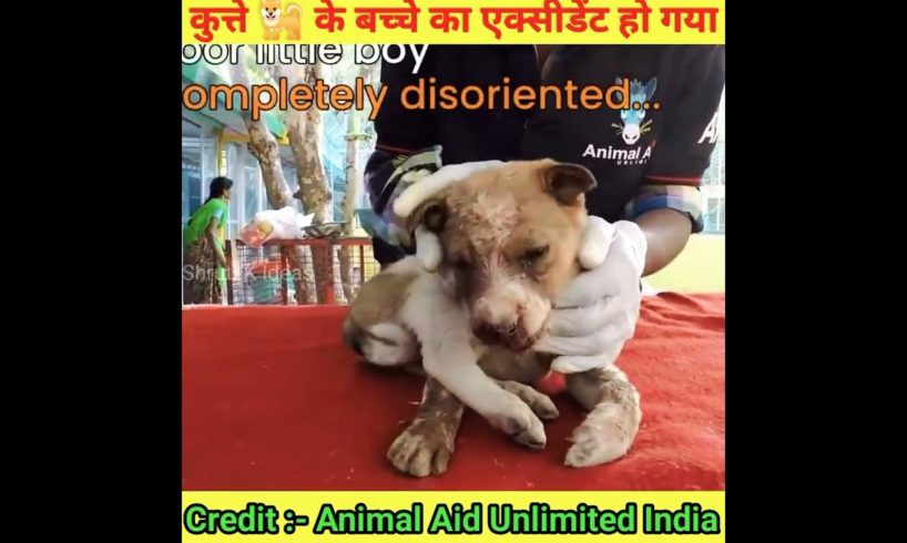 नन्हें Puppy 🐕 की जान बचाई 🙏😭