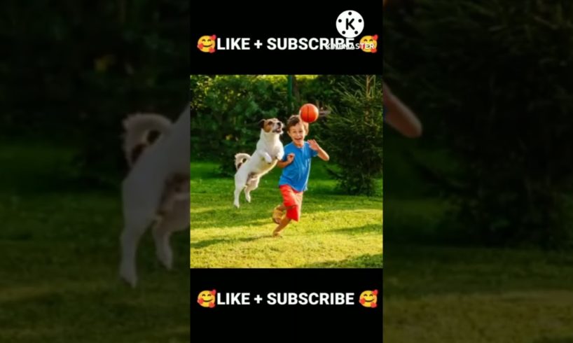 Cute Dog Rescue ❤️ cute animal #shorts #shortvideo #viralvideo #trending #funny #animals #tiktok